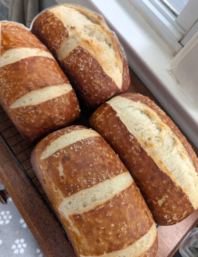 Anna - baker, business owner, CEO of Anna Bakes Things